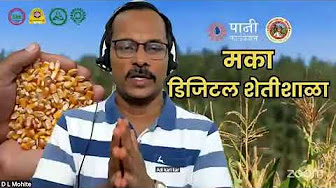 Maize Farming