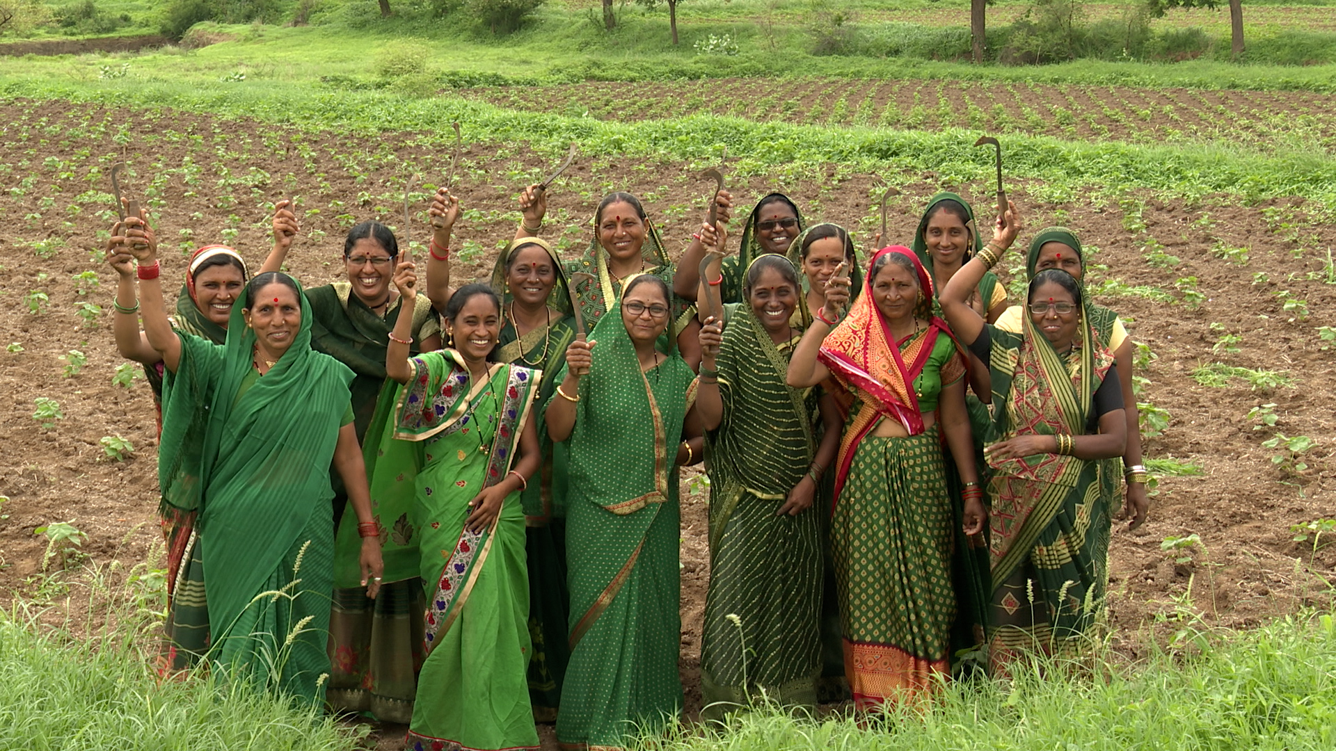 Group of women in green sarees