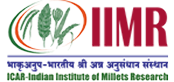 IIMR