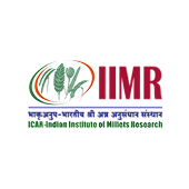 IIMR